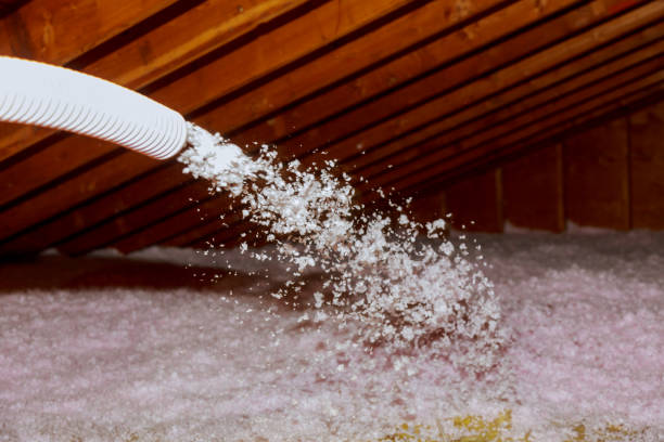 Best Eco-Friendly Insulation in Manistique, MI
