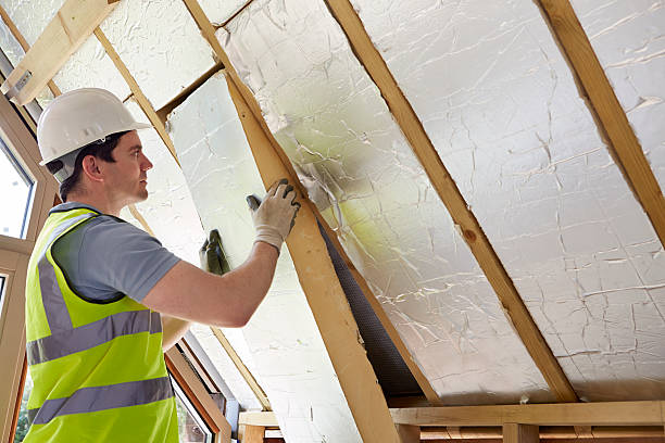 Professional Insulation Contractor in Manistique, MI