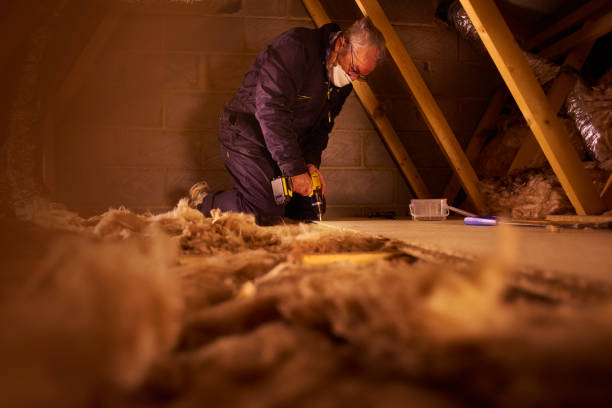 Types of Insulation We Offer in Manistique, MI